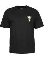Powell Peralta Mike McGill Skull&Snake