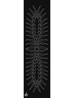 Bro style Vertebrae Griptape