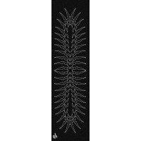 Bro style Vertebrae Griptape