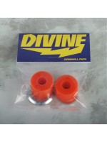 Divine DownHill Bushings